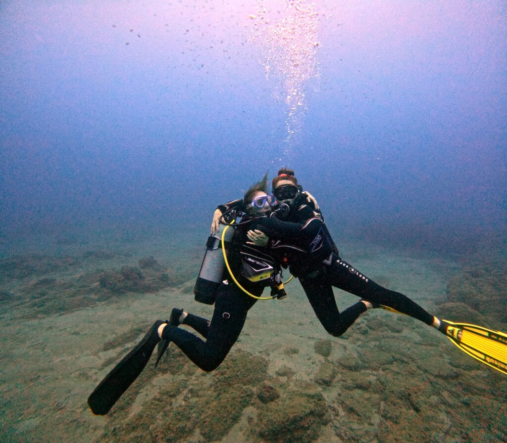 Open Water Diver Dolphin Diving Center
