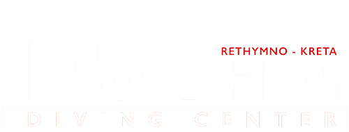 Dolphin Diving Center Rethymno Crete, Discover Scuba, Snorkeling, Certified Diver, Bubble Maker, Open Water Diver, Advanced Diver, Rescue Diver, Dive Master, Padi Certification, Best diving rethymno, Diving rethymno prices