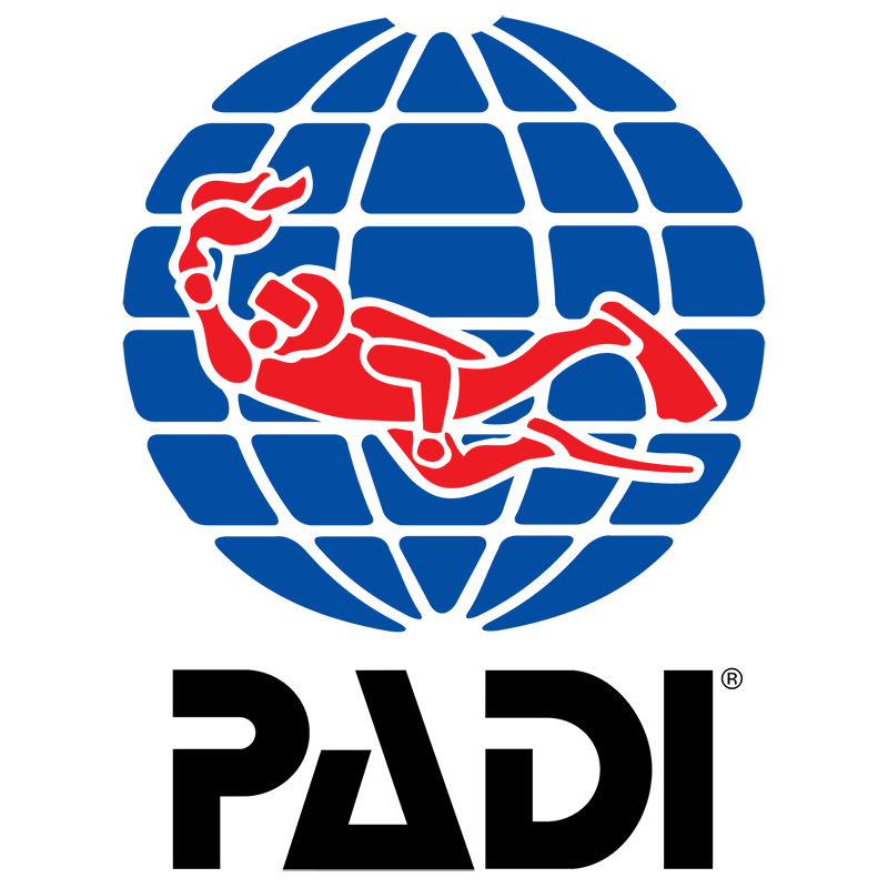Padi certification Rethymno, Diving rethymno prices, Dolphin Diving Center Rethymno Crete, Discover Scuba, Snorkeling, Certified Diver, Bubble Maker, Open Water Diver, Advanced Diver, Rescue Diver, Dive Master, prices, Diving center rethymno reviews, Best Dive center in crete